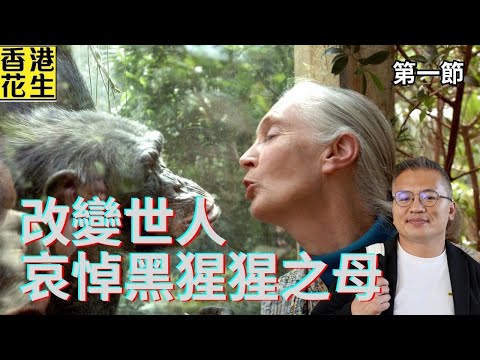 哀悼改變世人觀念的巨人逝去 | 大君伐-周四版 (第1節) 25年10月2日