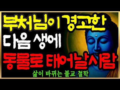 "상간녀가 전생에 내 OO였다고? 소름 돋는 인연의 비밀" | "부처님이 말씀하신 '불륜'의 끔찍한 결말" | 부처님말씀 | 석가모니 가르침 | 불교명언