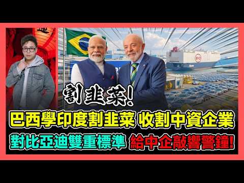 巴西學印度割韭菜 收割中資企業 對比亞迪雙重標準 給中企敲響警鐘! / 香港青年 大眼