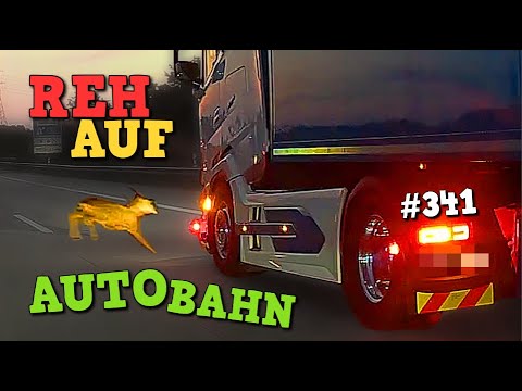 REH mitten auf der AUTOBAHN! | Community Cam Folge 341