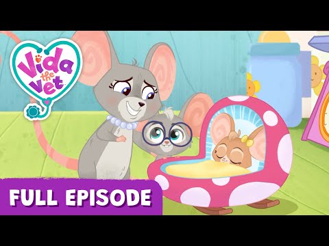 Sunny’s Baby Sister Surprise @VidaTheVet Full Episode 💖 Animal Cartoons for Kids #learning  #Animals