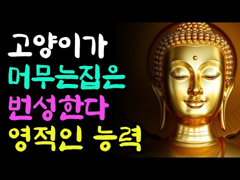 고양이가 집안에 미치는 영적인능력 | 고양이의 신비로운 영감 | 부처님지혜 | 부처님말씀 | 석가모니 가르침 | 불교철학 | 명언