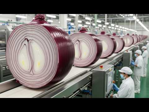 Inside the Largest U.S. Onion Powder Factory: How Millions of Tons of Onion Powder Are Made
