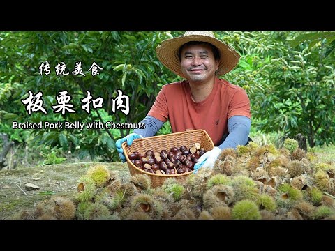 栗子大丰收,采摘一背篓,背到集市去售卖看看能赚多少钱.在制作一顿丰富的中国传统美食板栗扣肉和家人一起吃 #美食 #中国美食#栗子 #传统文化 #扣肉 #大陆美食