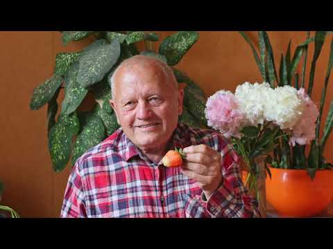 Как быстро накопить гумус в почве и жить без лекарств