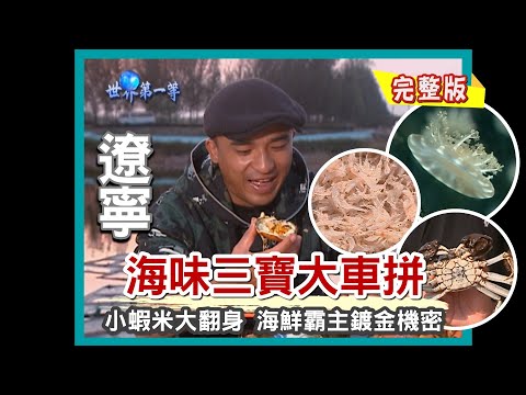 【遼寧】天然漁港遼東灣 野生海味三寶大車拼（蘆葦蕩大河蟹／野生大閘蟹／海蜇／毛蝦、對蝦）｜《世界第一等》174集小馬完整版