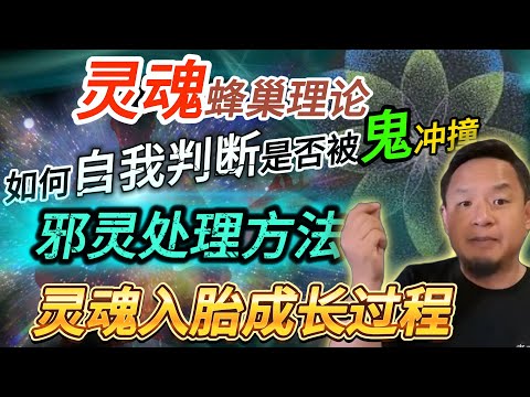 撞到邪灵的处理方法丨得了虚症怎么办丨灵魂蜂巢理论丨灵魂入胎成长过程#老王來了 #玄学 #熱門 #灵修 #灵魂