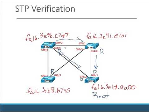 Spanning-Tree Election