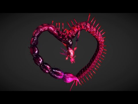 The Saint of the Bud - Closer Look