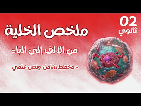 ثانية ثانوي🔥ملخص الخلية من الالف الى الياء+ نص علمي شامل + مخطط تحصيلي(علوم تجريبية+ رياضيات)