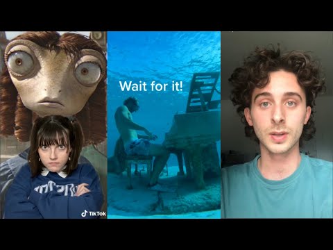 Tik Toks Way Funnier Than Your FYP