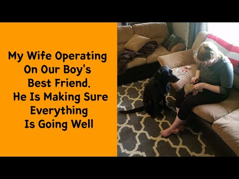 50 Uplifting Animal Photos That Remind Us How Kind The World Can Be