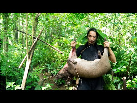 Surviving the Rainforest - A Year Surviving the Harshest Challenges of the Rainforest