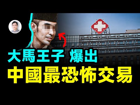 馬來西亞王子爆出了中國最恐怖的交易，真相超想像【文昭思緒飛揚447期】
