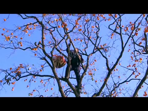 “我对这片土地没有一点感情”，它拍出了最赤裸的中国，评分9.3！