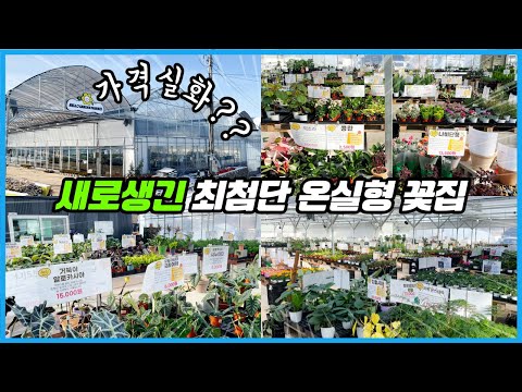 새로생긴 꽃시장을 다녀왔는데... 가격, 시설, 식물 설명까지 완벽하네요!!