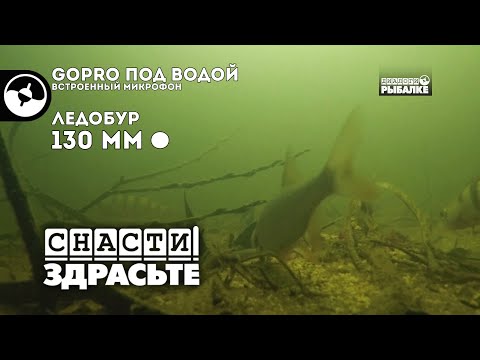 Боится ли рыба шума | Снасти, здрасьте!