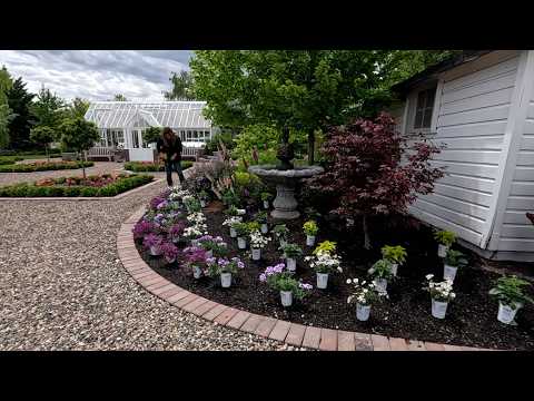 Planting Annuals to Attract Pollinators! 🦋🐝🪰 // Garden Answer