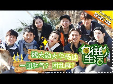《向往的生活》第10期 魏大勋大华杨迪一团和气？冰球大战黄磊现“超强大脑” Back to field S1 EP10【芒果TV生活风尚频道】