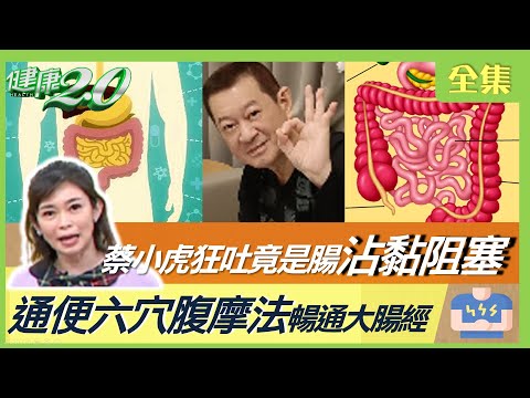 蔡小虎狂吐竟是腸沾黏阻塞！大便減少、沒排便 小心腸阻塞致敗血症！不只腸道有糞石 胃痛腹脹竟是胃結石！健康2.0 20230409【完整版】 鄭凱云 許秉毅 吳宏乾 劉怡里 洪素卿 彥寬