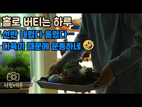 창틀에 있던 다육이들, 선반을 내렸다 올리며 보낸 하루 ㅣ 버티는 듯 보이지만, 사실은 살아내고 있는 하루