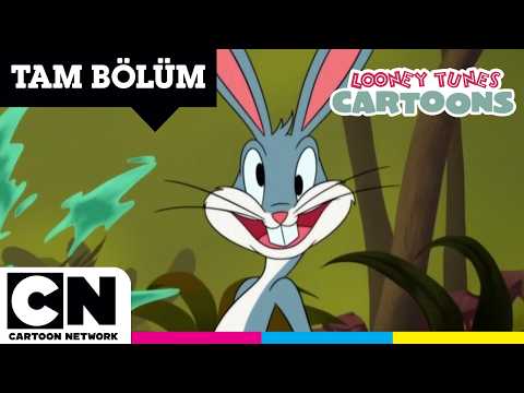 SEVİMLİ KAHRAMANLAR HİKÂYELER | Sam-Merica | TAM BÖLÜM | @cartoonnetworkturkiye