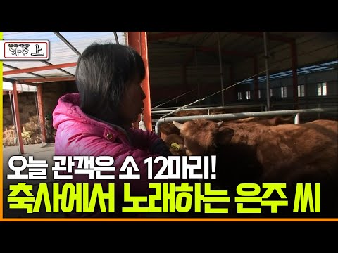 [다큐 ‘가족’ 45회 上] 오늘 관객은 소 12마리! 축사에서 노래하는 은주 씨