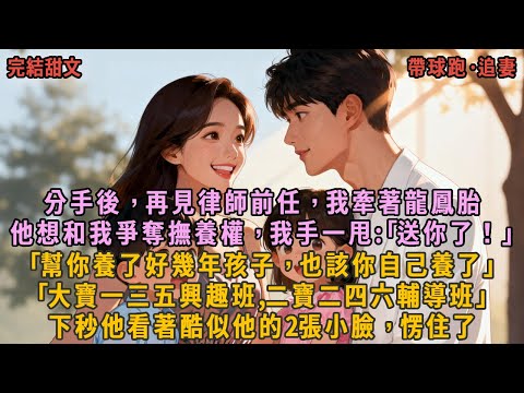 分手後，再見律師前任，我牽著龍鳳胎，他想和我爭奪撫養權，我手一甩:｢送你了！｣｢幫你養了好幾年孩子，也該你自己養了｣，｢大寶一三五興趣班,二寶二四六輔導班｣，下秒他看著酷似他的2張小臉，愣住了