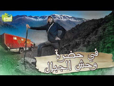 أمودّو 213 | في حضرة وحش الجبال ✅ (#جبل_العياشي)