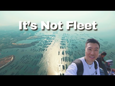 The Largest Oyster Farm in the world, Qinzhou in China is famous for it