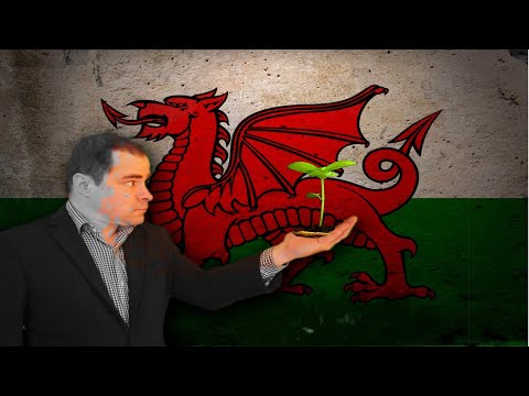 What are the origins of Welsh Language words? Roots.