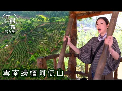 無窮之路｜雲南邊疆阿佤山｜咖啡