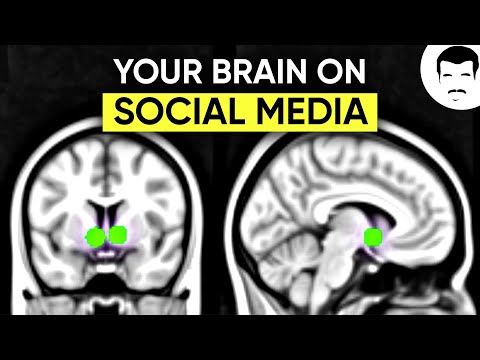 Rewiring Your Dopamine Systems with Neil deGrasse Tyson and Anna Lembke