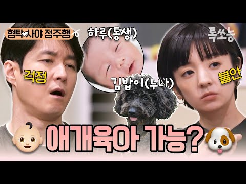 '애개육아: 아기와 강아지를 동시에 돌보는 일' 형탁사야는 하루와 김밥이 공동 육아를 해낼 수 있을까?!🤔 | #신랑수업 #톡쏘능