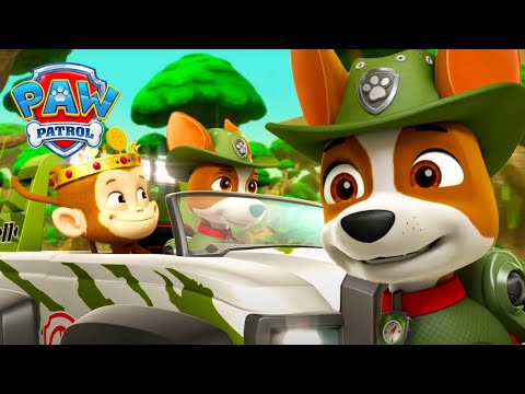 Tracker's First Day! - PAW Patrol - Cartoons for Kids