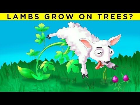 Weirdest Things People Believed