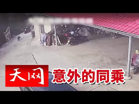 《天网》猖狂窃贼不撬锁 连保险柜都整个搬走！湘乡村民家中遭“搬家式”盗窃 20251209