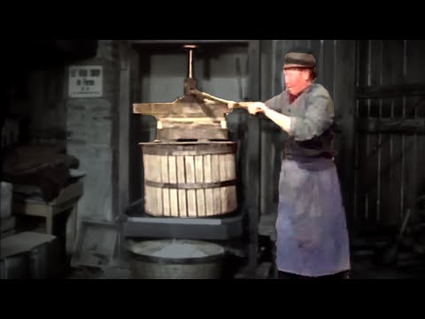 Experience OLD SCHOOL Apple Syrup Production  From Tree to Bottle!