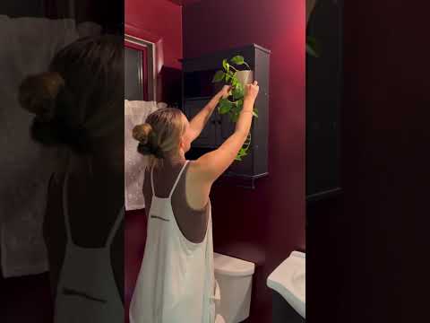 Bathroom Makeover 🤩 part 2 #decorating #diy #budget #homemaking