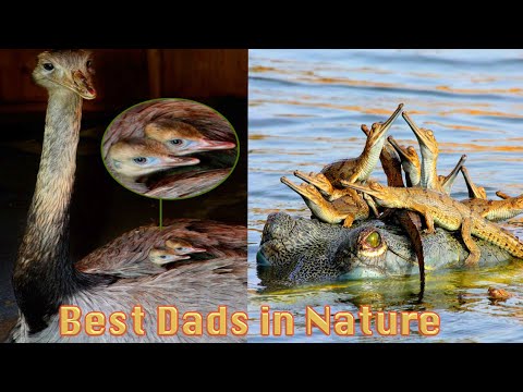 When You ARE the Child Support