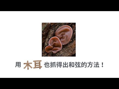 只有木耳，也可以抓出歌曲裡的和弦嗎？