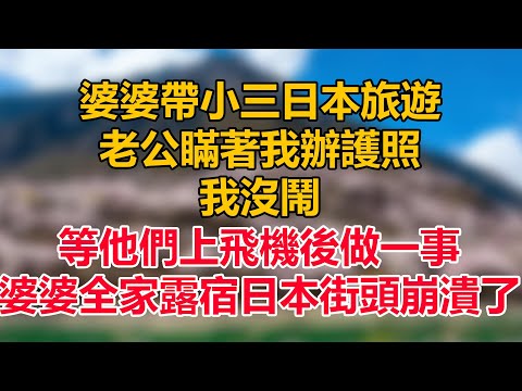 婆婆帶小三日本旅遊，老公瞞著我辦護照，我沒鬧，等他們上飛機後做一事，婆婆全家露宿日本街頭崩潰了