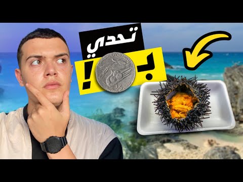 تحدي العيش يوم كامل ب 500 مليم "0,15$” فقط | عثرت على الذهب بالصدفة 🤑