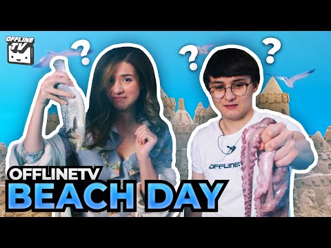 OFFLINETV INDOOR BEACH DAY