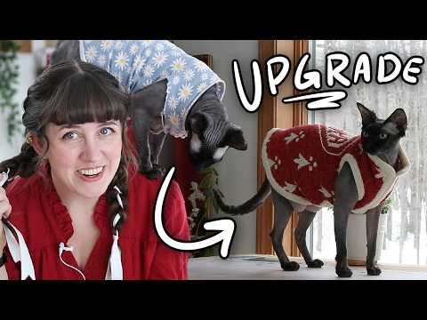 Making A (Heraldic) Fur Coat for my Hairless Cat!