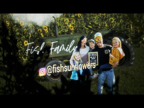 How a Sunflower Field Can Make a Difference - Fish Sunflowers - Albert Lea, MN - 2022