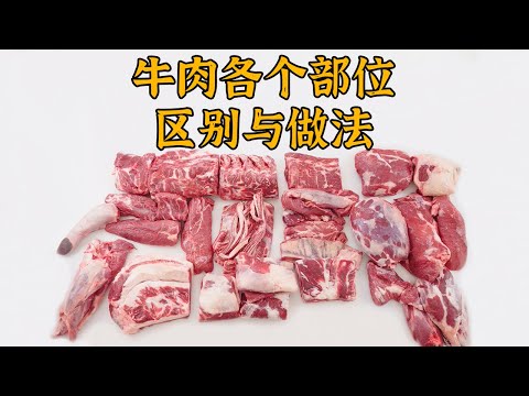 牛肉各部位拆解，35个部位，都适合做什么菜，一个视频讲清楚！