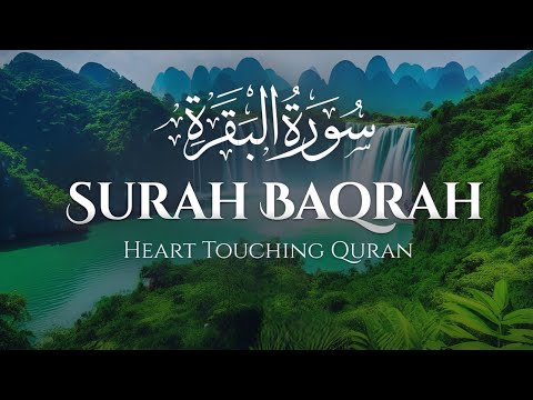 Surah Al-Baqarah Complete | Peaceful Quran Recitation|🎙️ Mishary Rashid Alafasy|