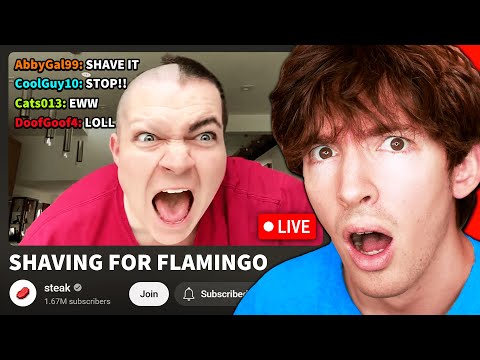 If Flamingo comments I shave my eyebrows