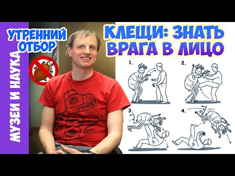 Знакомьтесь - клещ! Тимофей Левченко